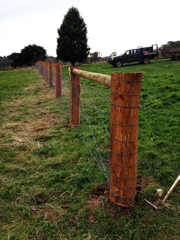 Fencing Mt. Ridley - Black Chain mesh fencing on treated pine posts