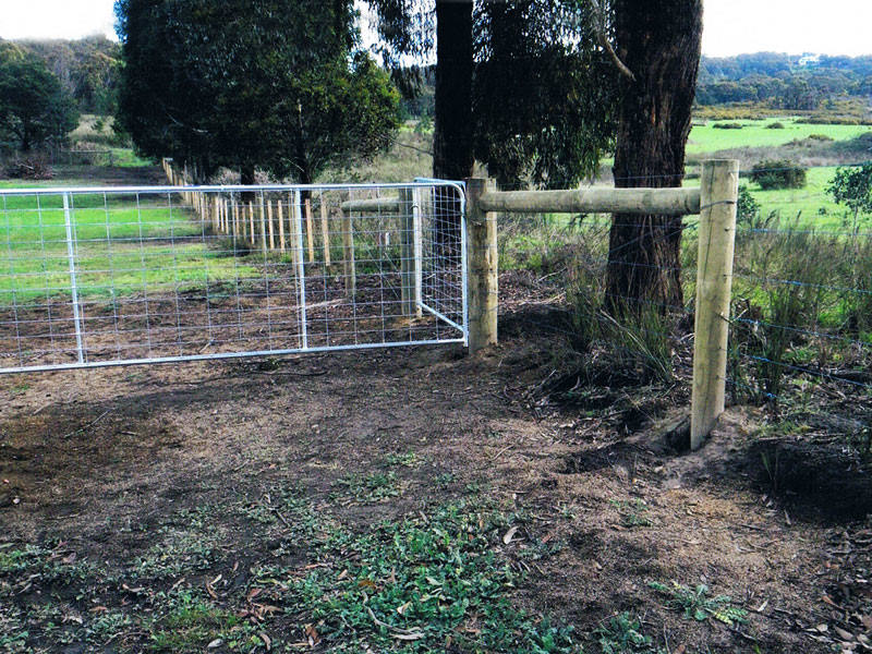Rural fencing Whittlesea - Treated pine posts with 3 timber droppers and 6 plain Waratah wires2