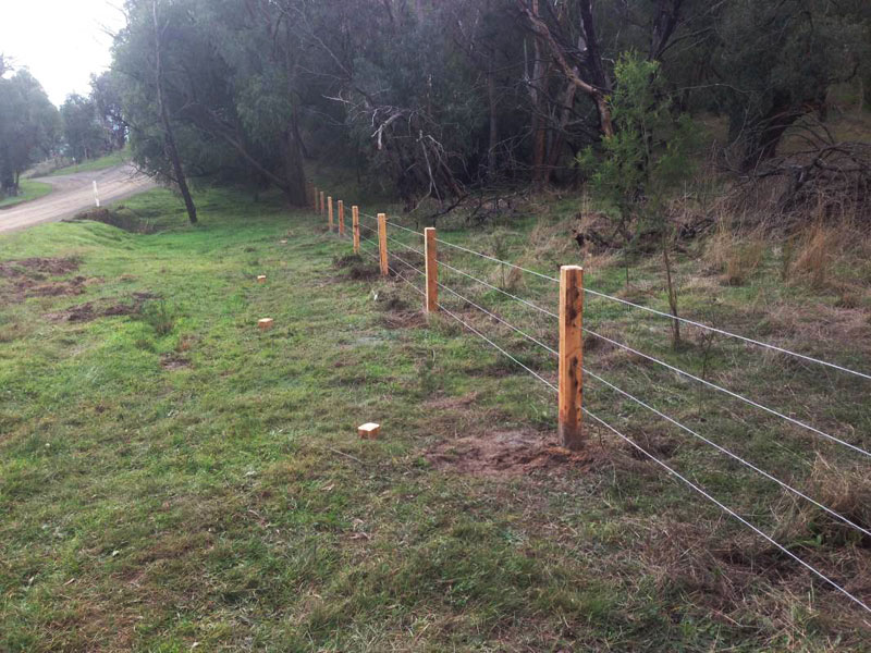 Timber posts and 4 strand wire fencing for rural property