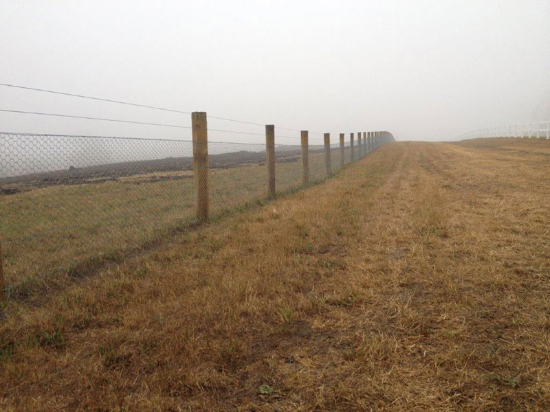 hardwood posts with Waratah hinge joint wire fencing at Kilmore