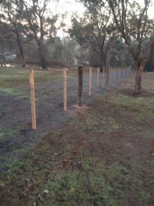 Timber posts and 4 strand wire fencing for rural property