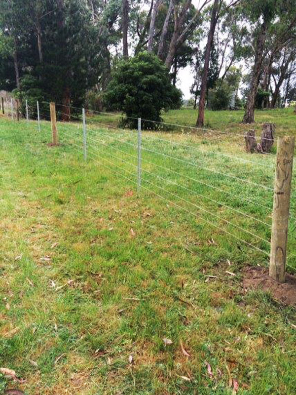 Post and wire fence for farm with star pickets